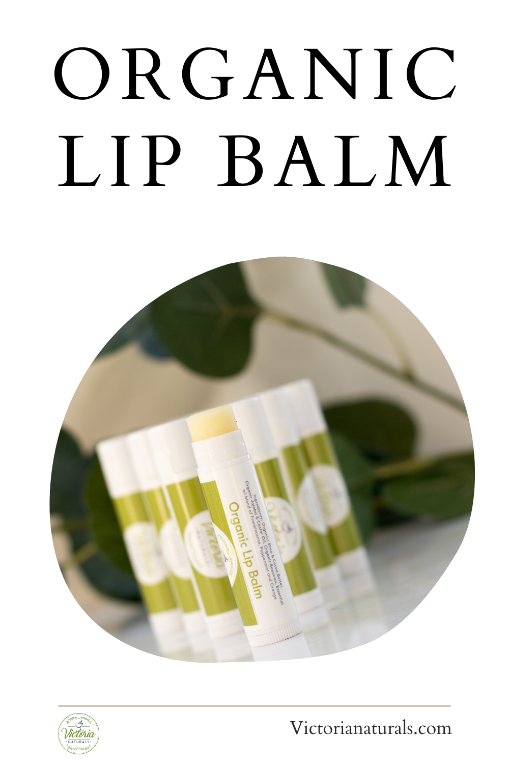 Organic Lip Scrub and Lip Balm Set